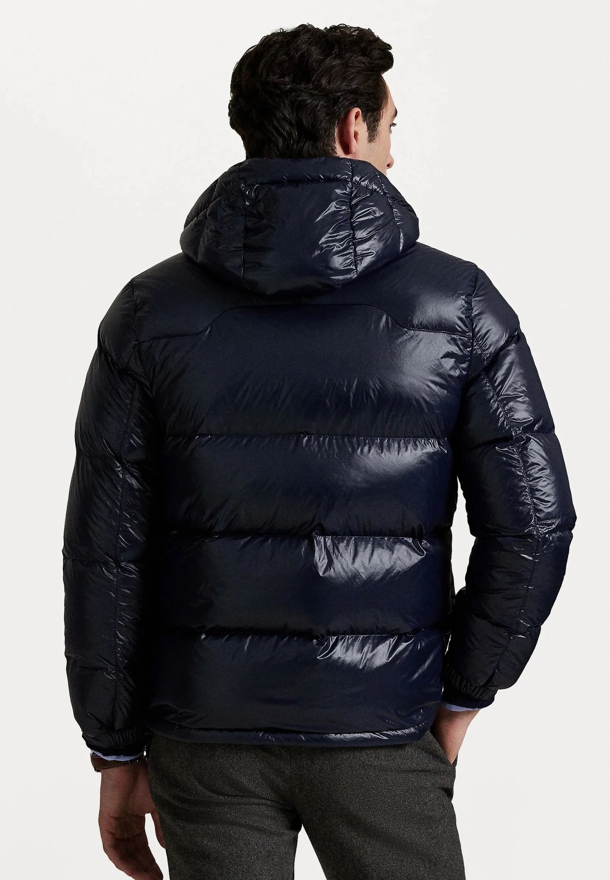 "RL" Shiny Puffer