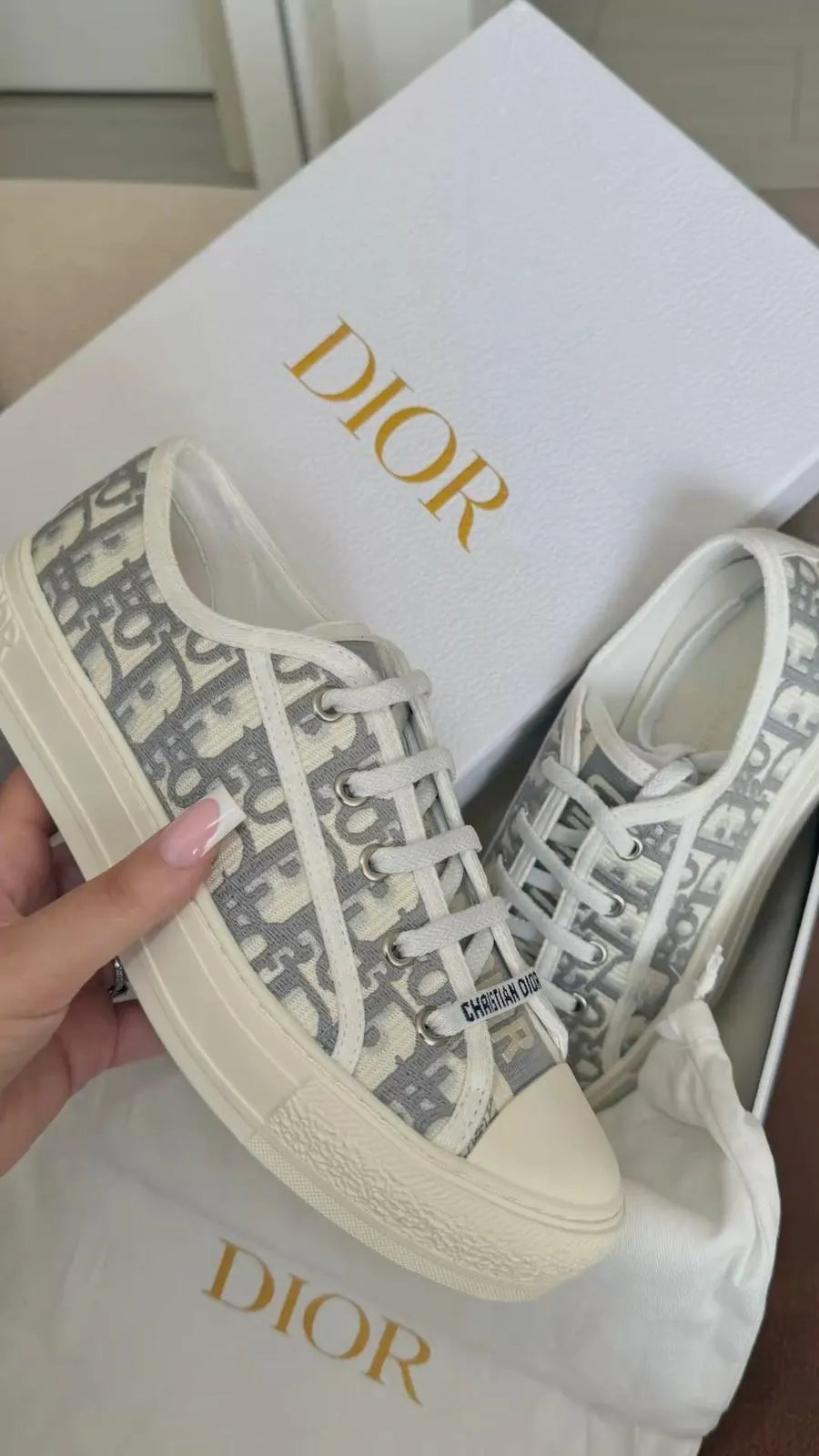 "CD" Sneaker Low Top